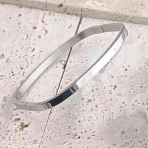 Bijou moderne jonc rigide en acier inoxydable argenté